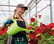 Agence web spécialisée dans votre domaine jardin